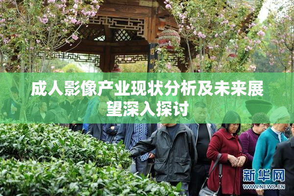 成人影像产业现状分析及未来展望深入探讨