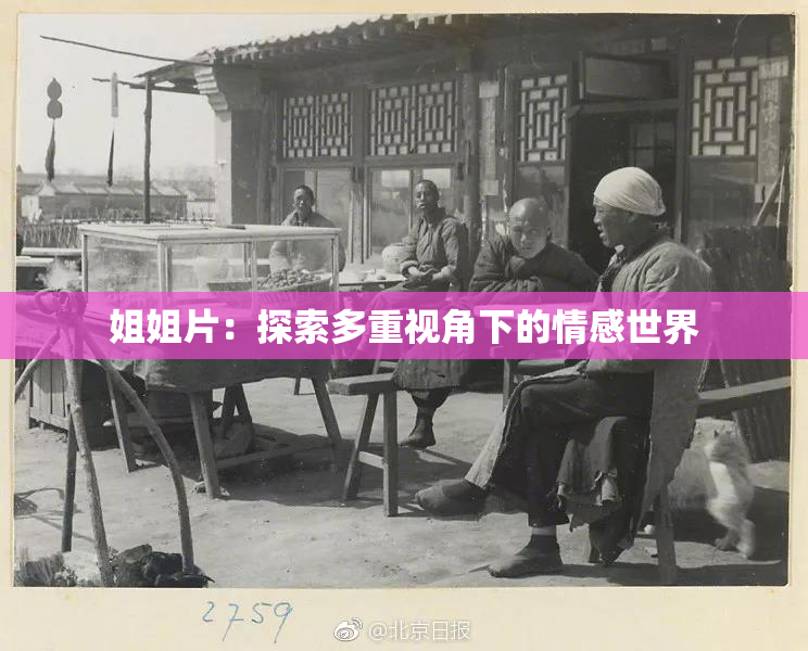 姐姐片：探索多重视角下的情感世界