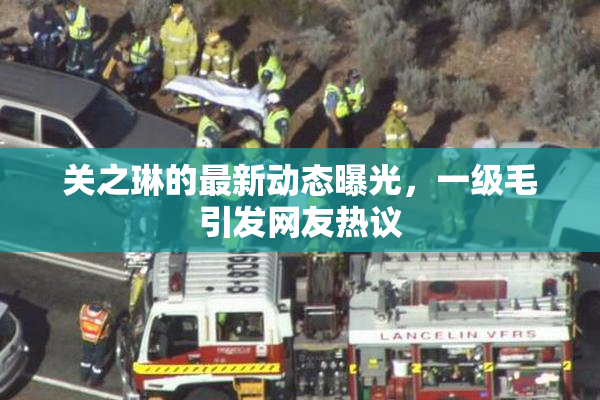 关之琳的最新动态曝光，一级毛引发网友热议