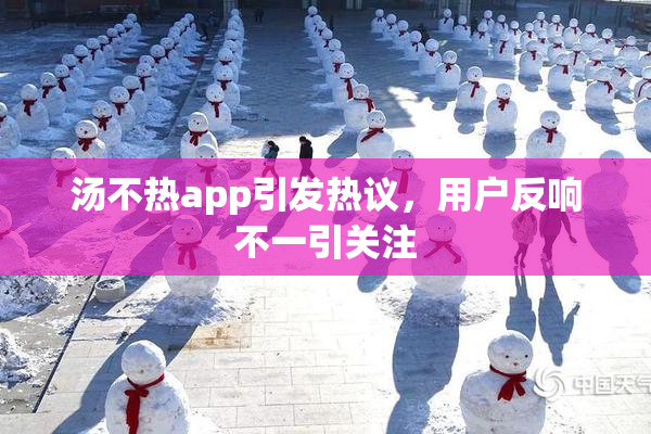 汤不热app引发热议，用户反响不一引关注