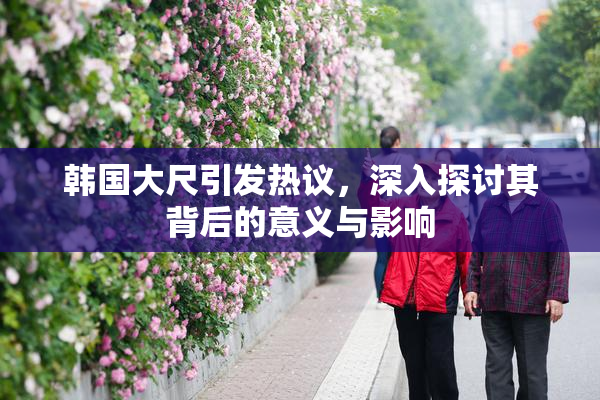 韩国大尺引发热议，深入探讨其背后的意义与影响