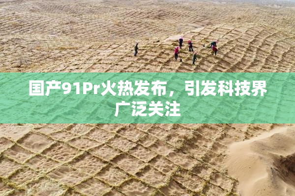 国产91Pr火热发布，引发科技界广泛关注