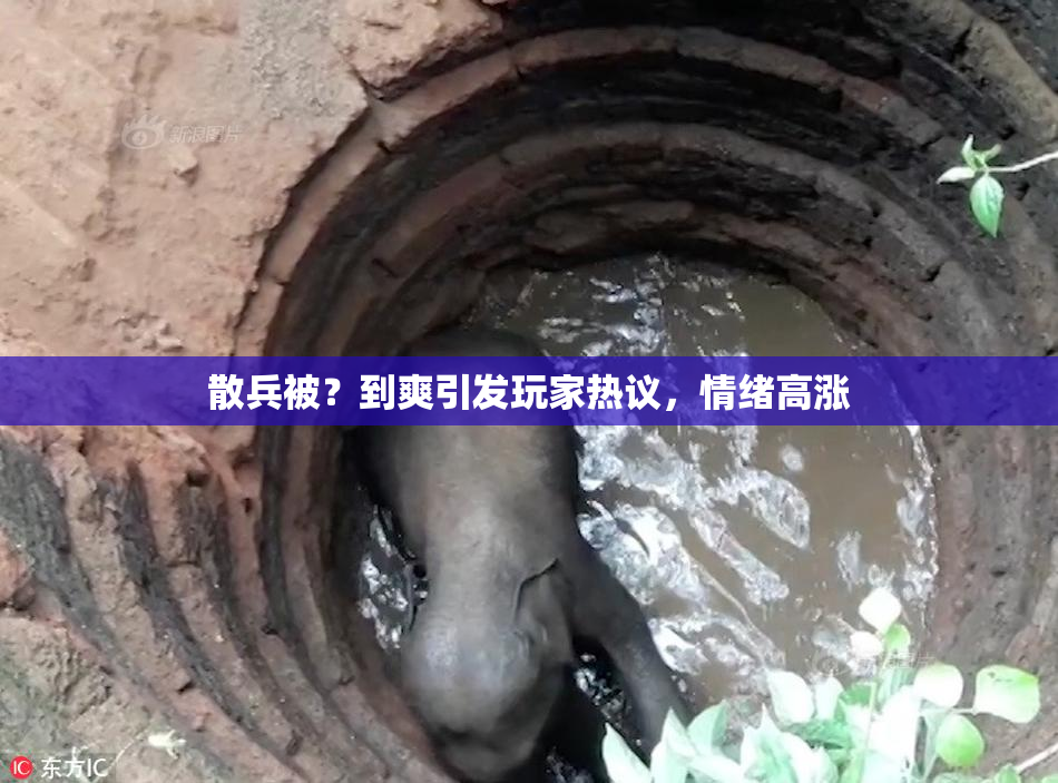散兵被？到爽引发玩家热议，情绪高涨