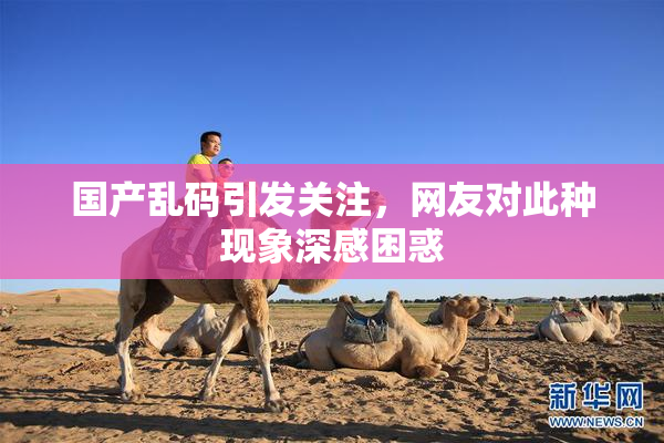国产乱码引发关注，网友对此种现象深感困惑