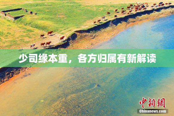 少司缘本重，各方归属有新解读
