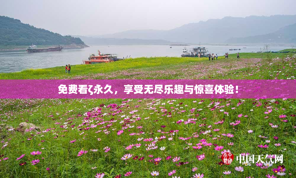 免费看ζ永久，享受无尽乐趣与惊喜体验！