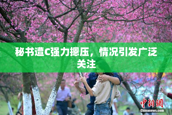 秘书遭C强力摁压，情况引发广泛关注