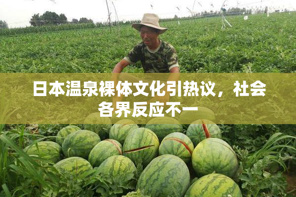 日本温泉裸体文化引热议，社会各界反应不一