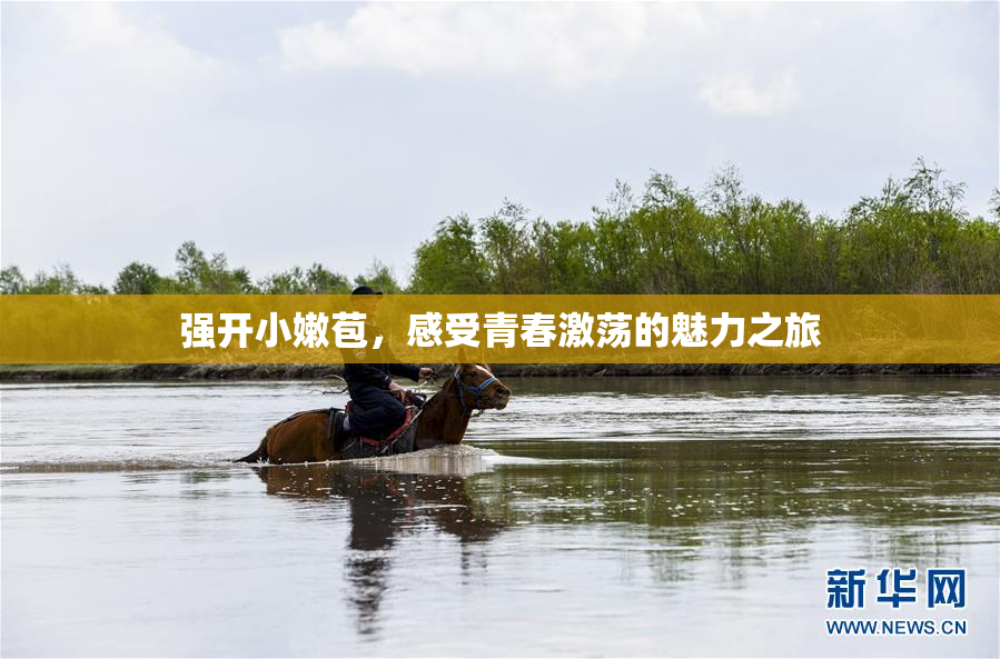 强开小嫩苞，感受青春激荡的魅力之旅