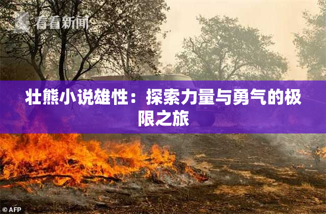 壮熊小说雄性：探索力量与勇气的极限之旅