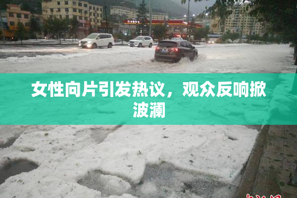 女性向片引发热议，观众反响掀波澜