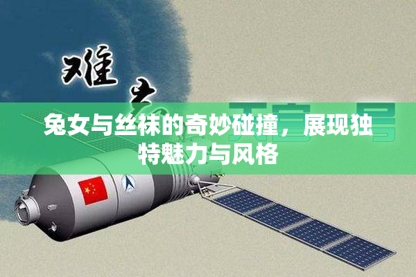 兔女与丝袜的奇妙碰撞，展现独特魅力与风格
