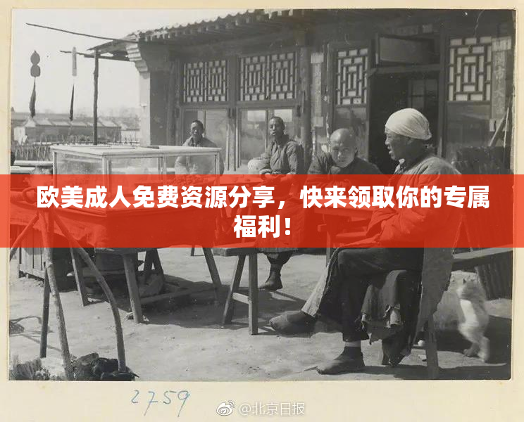 欧美成人免费资源分享，快来领取你的专属福利！