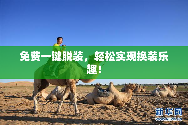 免费一键脱装，轻松实现换装乐趣！