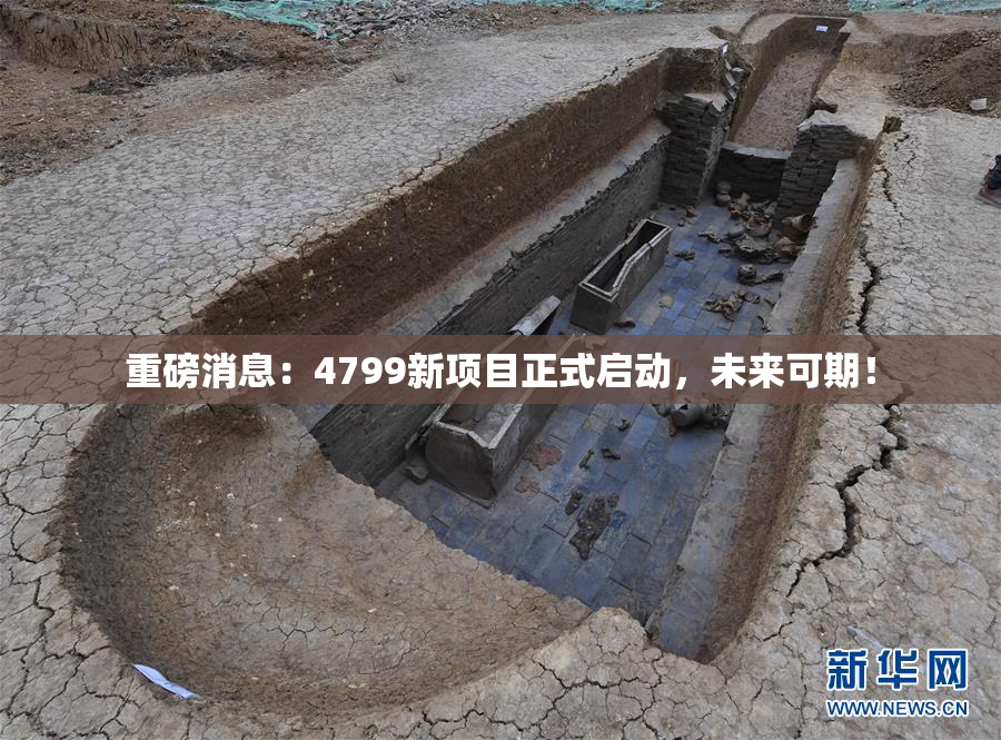 重磅消息：4799新项目正式启动，未来可期！