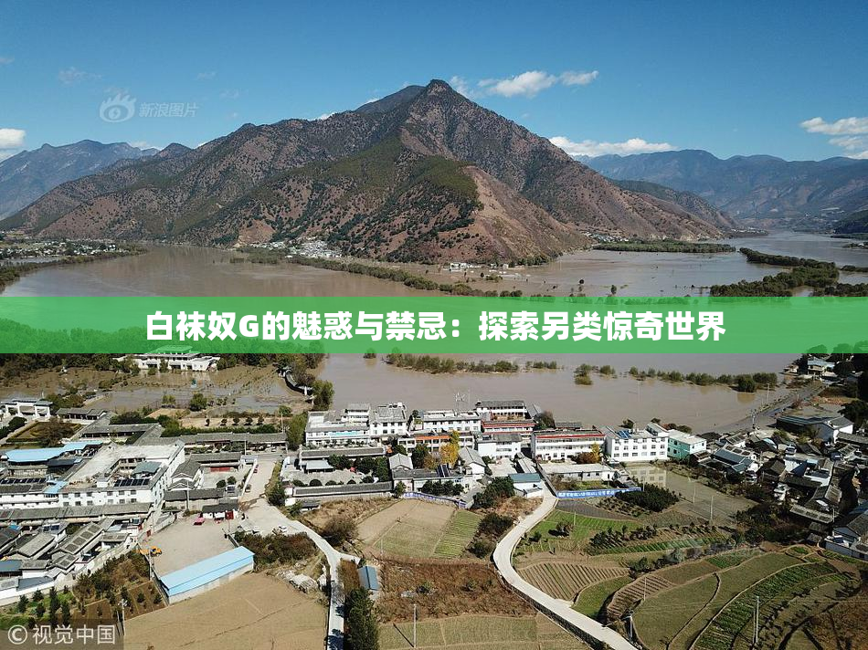 白袜奴G的魅惑与禁忌：探索另类惊奇世界