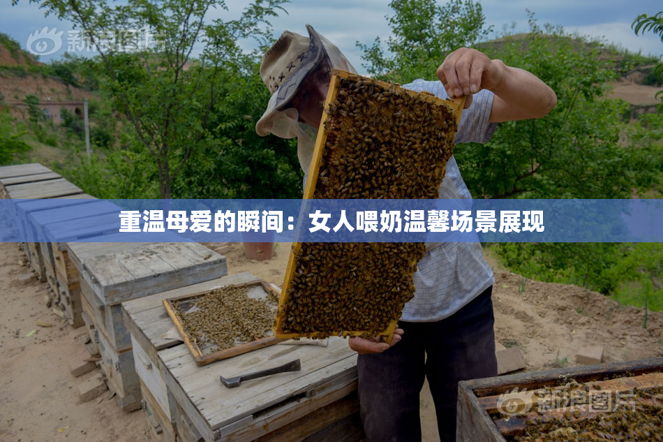 重温母爱的瞬间：女人喂奶温馨场景展现