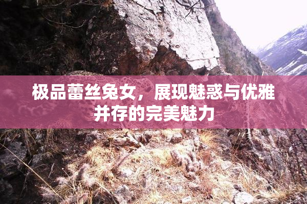 极品蕾丝兔女，展现魅惑与优雅并存的完美魅力