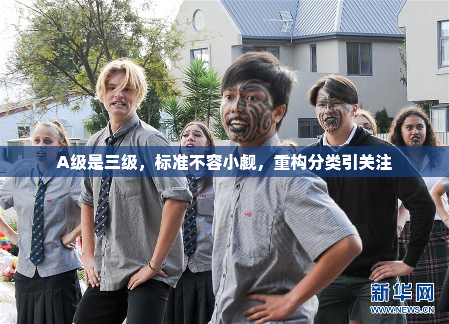 A级是三级，标准不容小觑，重构分类引关注