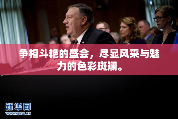 争相斗艳的盛会，尽显风采与魅力的色彩斑斓。