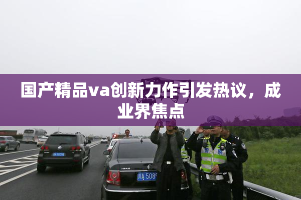 国产精品va创新力作引发热议，成业界焦点