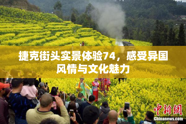 捷克街头实景体验74，感受异国风情与文化魅力