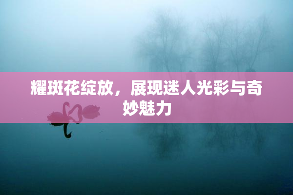耀斑花绽放，展现迷人光彩与奇妙魅力