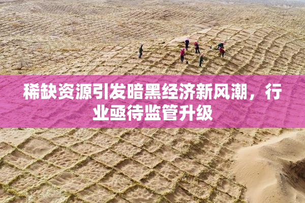 稀缺资源引发暗黑经济新风潮，行业亟待监管升级