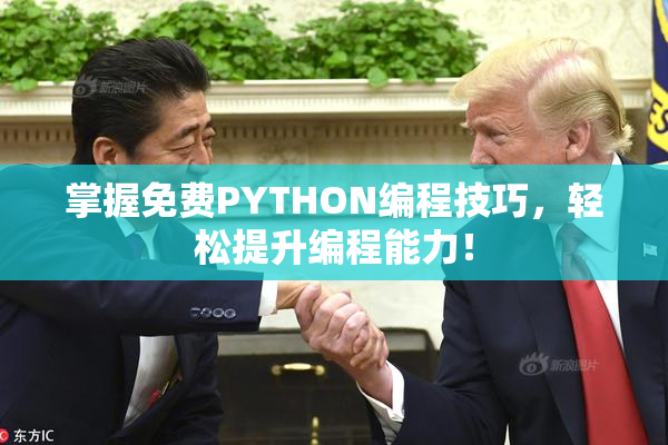 掌握免费PYTHON编程技巧，轻松提升编程能力！