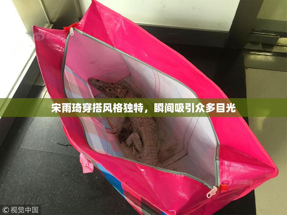 宋雨琦穿搭风格独特，瞬间吸引众多目光