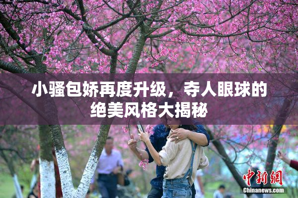 小骚包娇再度升级，夺人眼球的绝美风格大揭秘