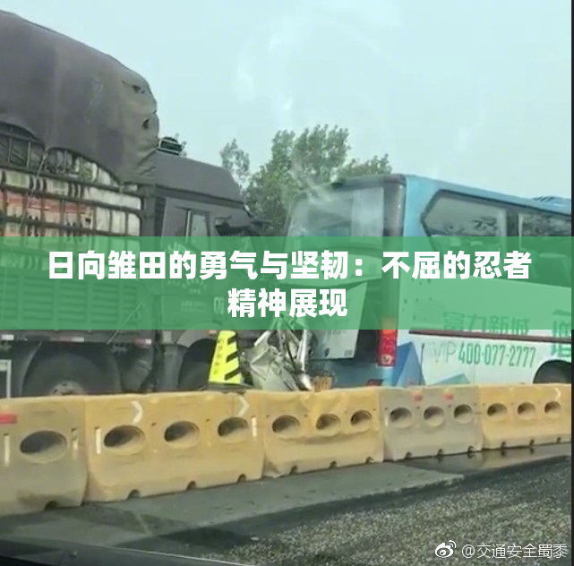 日向雏田的勇气与坚韧：不屈的忍者精神展现