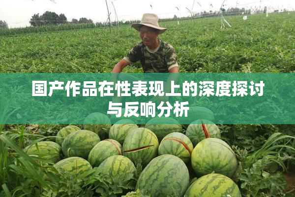 国产作品在性表现上的深度探讨与反响分析