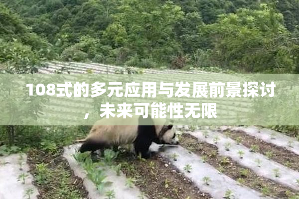 108式的多元应用与发展前景探讨，未来可能性无限