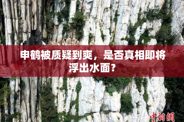 申鹤被质疑到爽，是否真相即将浮出水面？