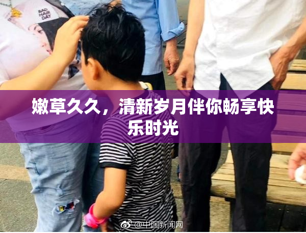 嫩草久久，清新岁月伴你畅享快乐时光
