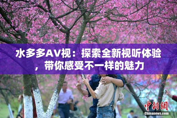 水多多AV视：探索全新视听体验，带你感受不一样的魅力