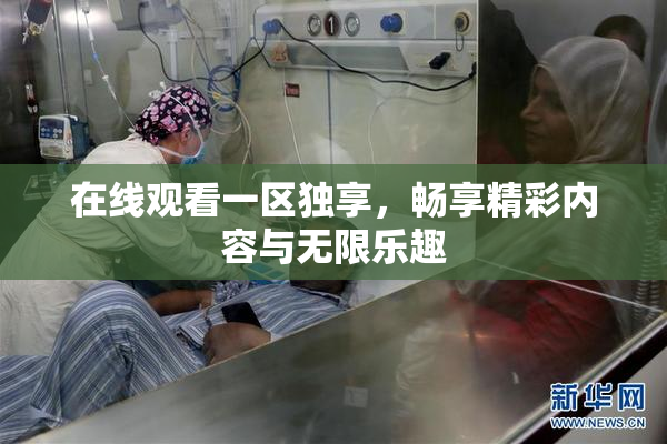 在线观看一区独享，畅享精彩内容与无限乐趣