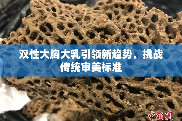 双性大胸大乳引领新趋势，挑战传统审美标准