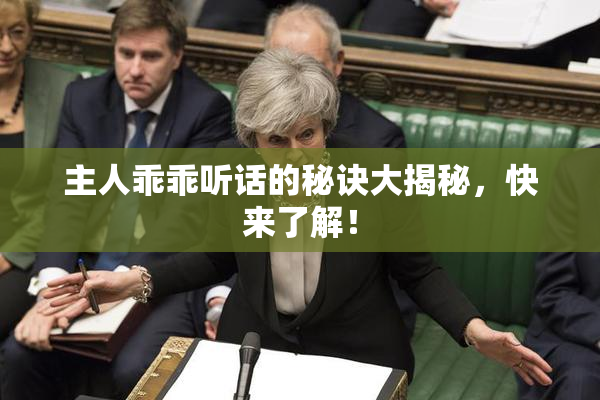 主人乖乖听话的秘诀大揭秘，快来了解！