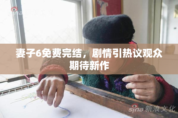 妻子6免费完结，剧情引热议观众期待新作