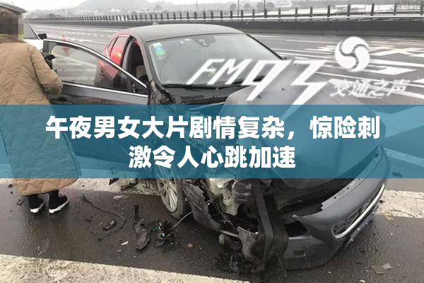 午夜男女大片剧情复杂，惊险刺激令人心跳加速