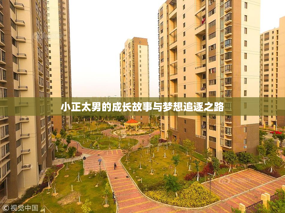 小正太男的成长故事与梦想追逐之路