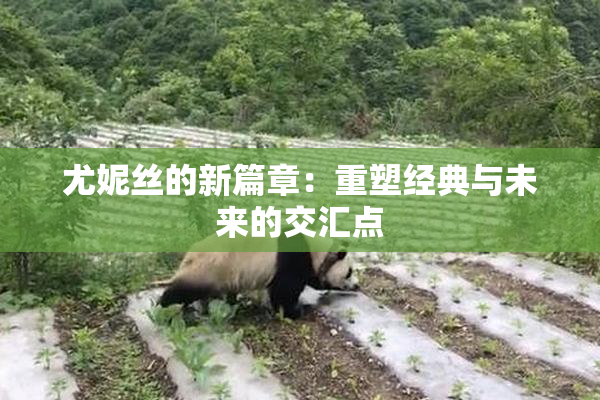 尤妮丝的新篇章：重塑经典与未来的交汇点