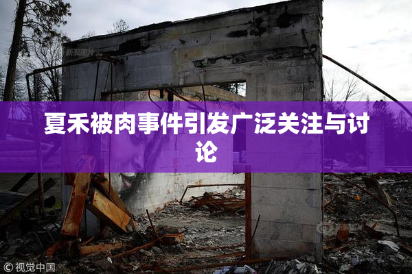 夏禾被肉事件引发广泛关注与讨论