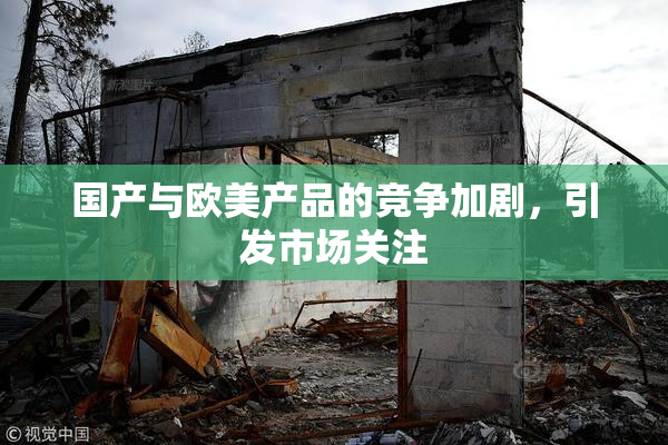 国产与欧美产品的竞争加剧，引发市场关注