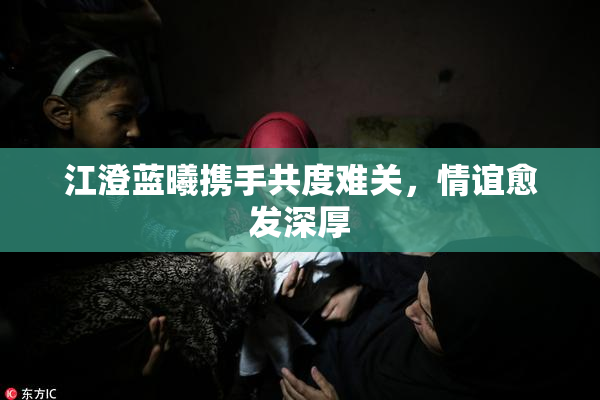 江澄蓝曦携手共度难关，情谊愈发深厚