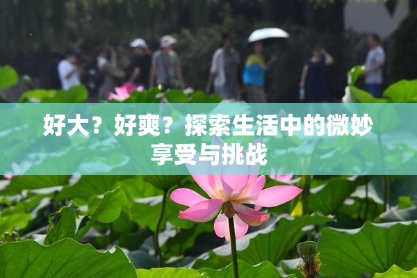 好大？好爽？探索生活中的微妙享受与挑战