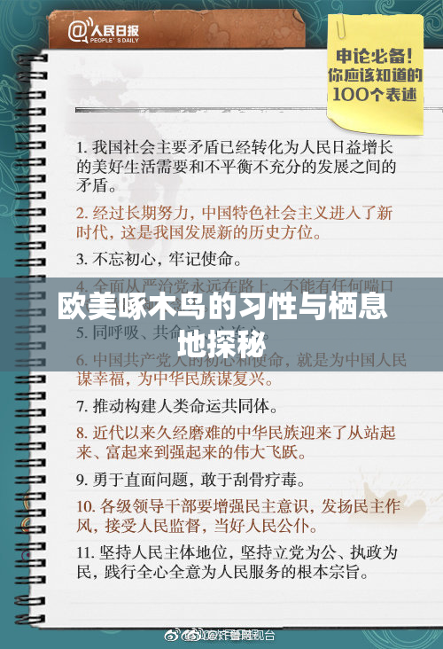 欧美啄木鸟的习性与栖息地探秘