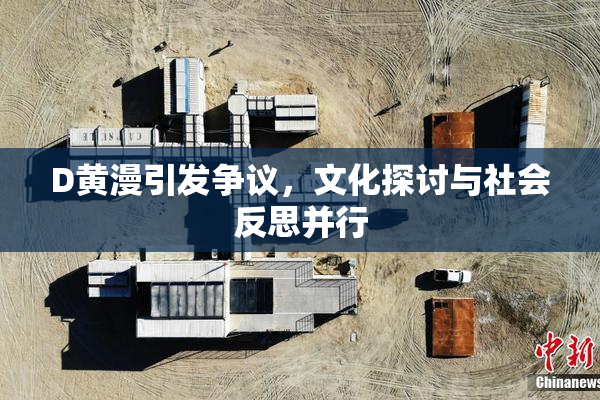 D黄漫引发争议，文化探讨与社会反思并行